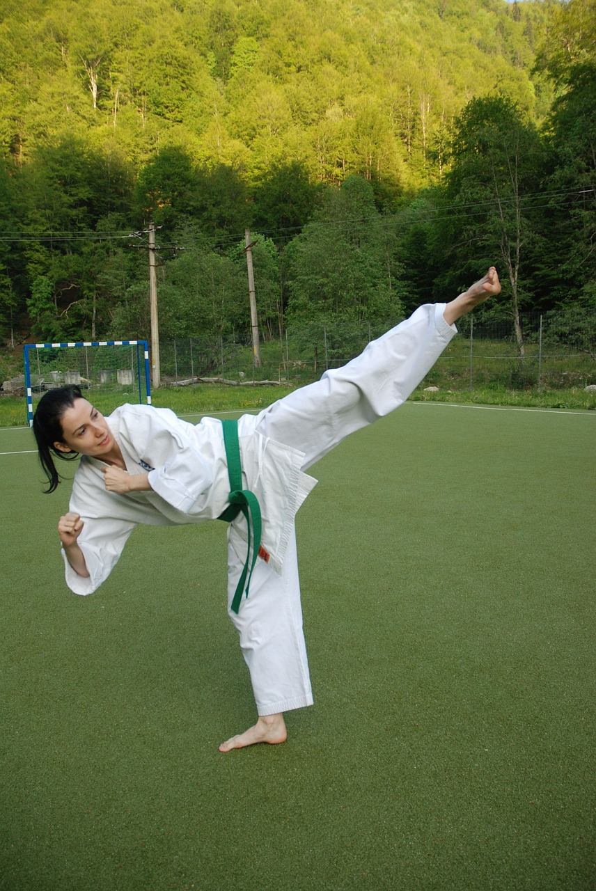 body_karate MJC VaulxenVelin